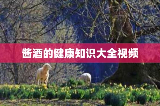 酱酒的健康知识大全视频