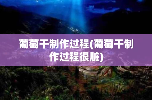 葡萄干制作过程(葡萄干制作过程很脏)