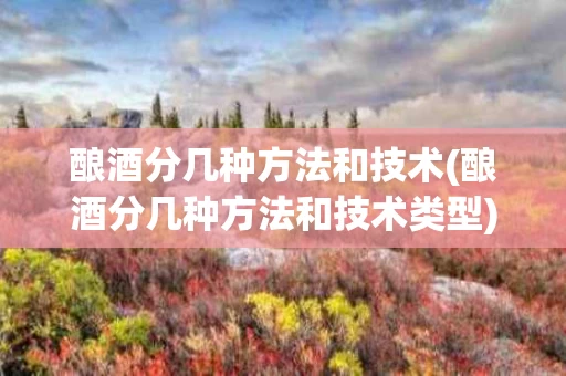 酿酒分几种方法和技术(酿酒分几种方法和技术类型)