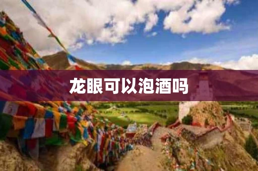 龙眼可以泡酒吗