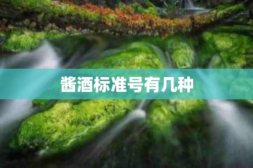 酱酒标准号有几种