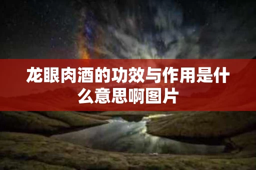 龙眼肉酒的功效与作用是什么意思啊图片