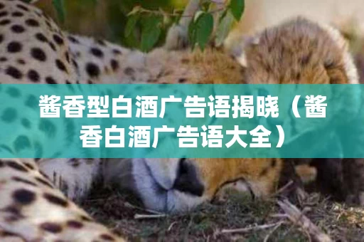 酱香型白酒广告语揭晓（酱香白酒广告语大全）