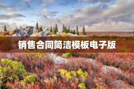销售合同简洁模板电子版