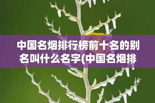 中国名烟排行榜前十名的别名叫什么名字(中国名烟排行榜前十名的别名叫什么名字呢)