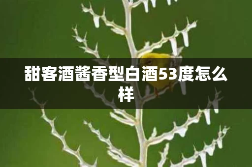 甜客酒酱香型白酒53度怎么样