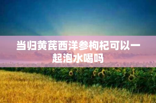 当归黄芪西洋参枸杞可以一起泡水喝吗