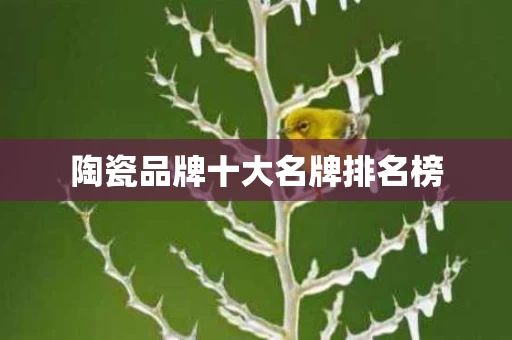 陶瓷品牌十大名牌排名榜