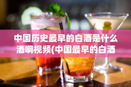 中国历史最早的白酒是什么酒啊视频(中国最早的白酒叫什么名字)