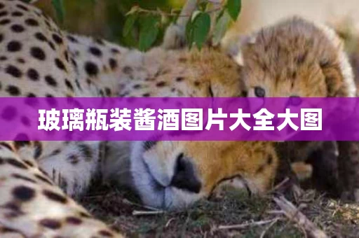 玻璃瓶装酱酒图片大全大图