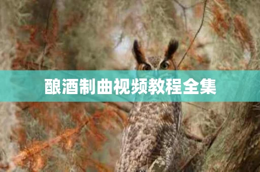 酿酒制曲视频教程全集