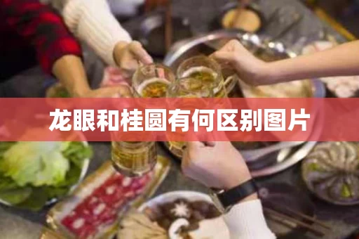 龙眼和桂圆有何区别图片