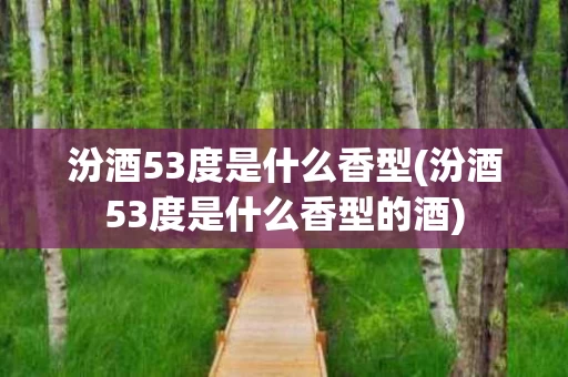 汾酒53度是什么香型(汾酒53度是什么香型的酒)
