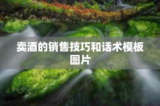 卖酒的销售技巧和话术模板图片