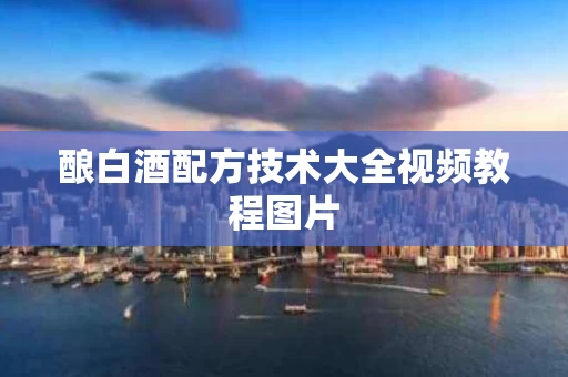酿白酒配方技术大全视频教程图片
