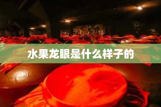 水果龙眼是什么样子的