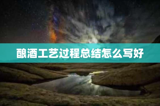 酿酒工艺过程总结怎么写好