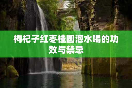 枸杞子红枣桂圆泡水喝的功效与禁忌
