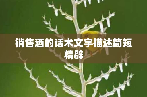 销售酒的话术文字描述简短精辟