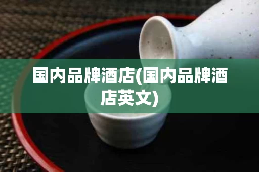 国内品牌酒店(国内品牌酒店英文)