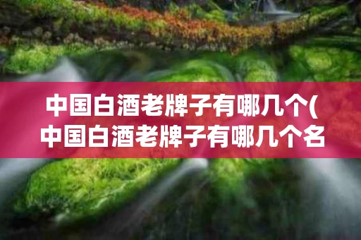 中国白酒老牌子有哪几个(中国白酒老牌子有哪几个名字)