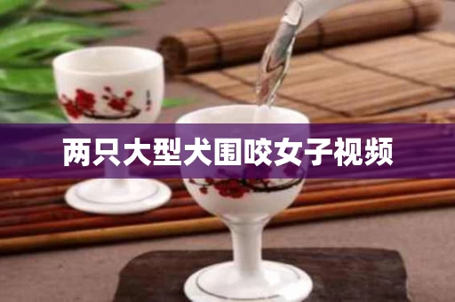 两只大型犬围咬女子视频