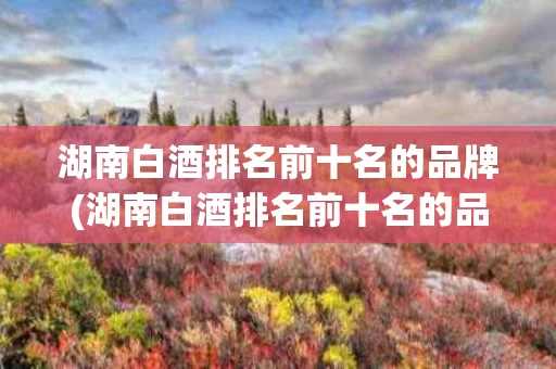 湖南白酒排名前十名的品牌(湖南白酒排名前十名的品牌是什么)