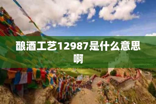 酿酒工艺12987是什么意思啊