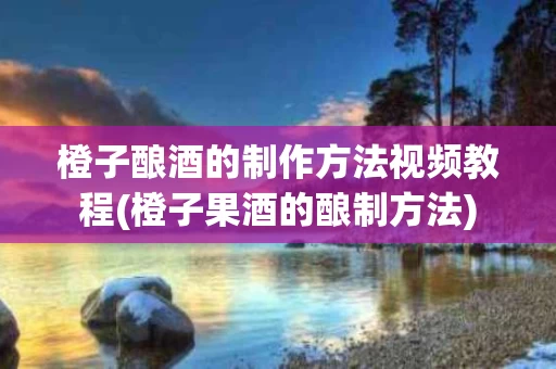 橙子酿酒的制作方法视频教程(橙子果酒的酿制方法)