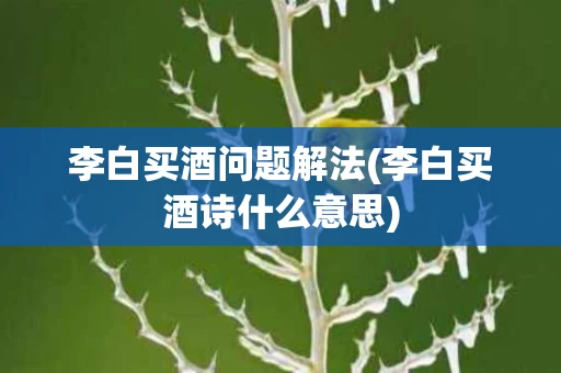 李白买酒问题解法(李白买酒诗什么意思)