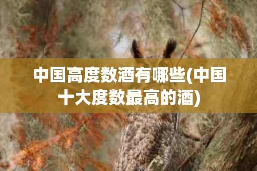中国高度数酒有哪些(中国十大度数最高的酒)