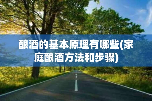 酿酒的基本原理有哪些(家庭酿酒方法和步骤)