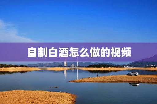 自制白酒怎么做的视频