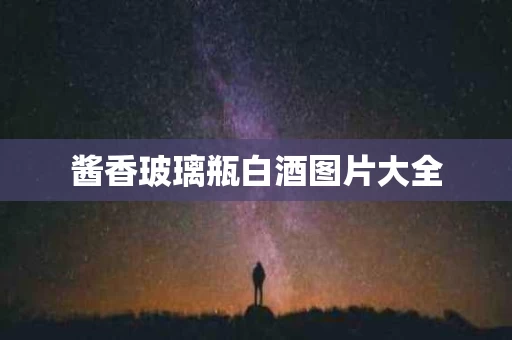 酱香玻璃瓶白酒图片大全