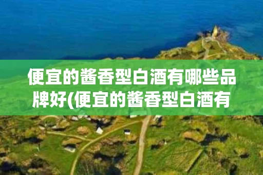 便宜的酱香型白酒有哪些品牌好(便宜的酱香型白酒有哪些品牌好喝)