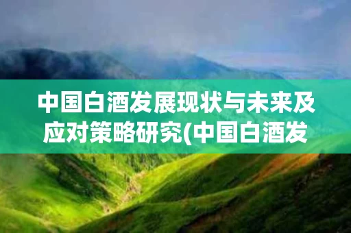 中国白酒发展现状与未来及应对策略研究(中国白酒发展现状与未来及应对策略研究论文)