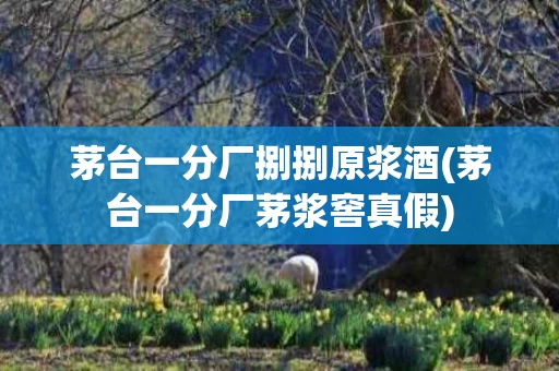 茅台一分厂捌捌原浆酒(茅台一分厂茅浆窖真假)