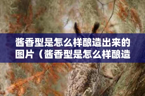 酱香型是怎么样酿造出来的图片（酱香型是怎么样酿造出来的图片及价格）