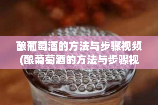 酿葡萄酒的方法与步骤视频(酿葡萄酒的方法与步骤视频教程)