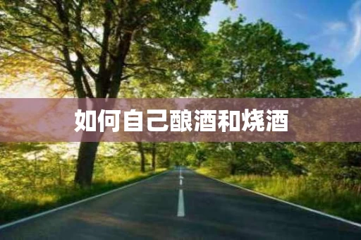 如何自己酿酒和烧酒