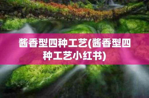 酱香型四种工艺(酱香型四种工艺小红书)