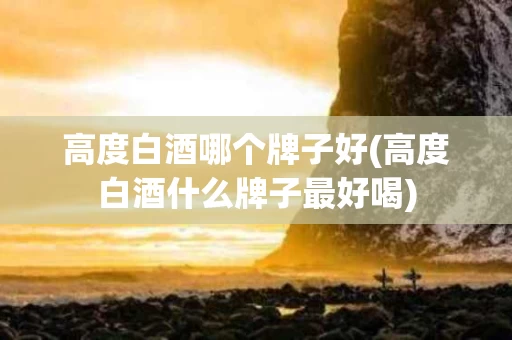 高度白酒哪个牌子好(高度白酒什么牌子最好喝)