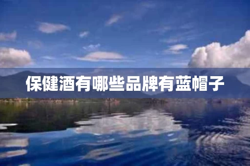 保健酒有哪些品牌有蓝帽子