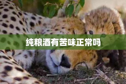纯粮酒有苦味正常吗
