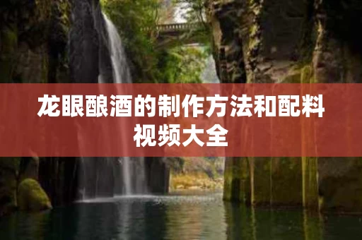 龙眼酿酒的制作方法和配料视频大全