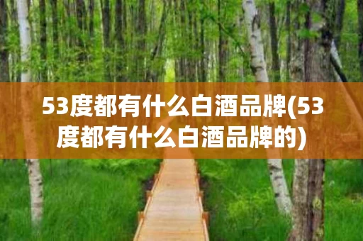 53度都有什么白酒品牌(53度都有什么白酒品牌的)