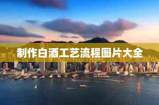 制作白酒工艺流程图片大全