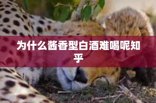 为什么酱香型白酒难喝呢知乎