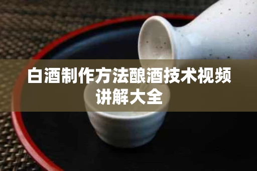 白酒制作方法酿酒技术视频讲解大全