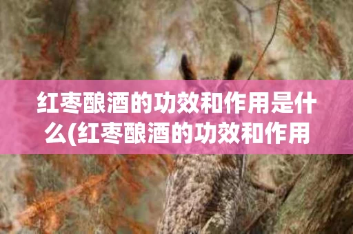 红枣酿酒的功效和作用是什么(红枣酿酒的功效和作用是什么意思)